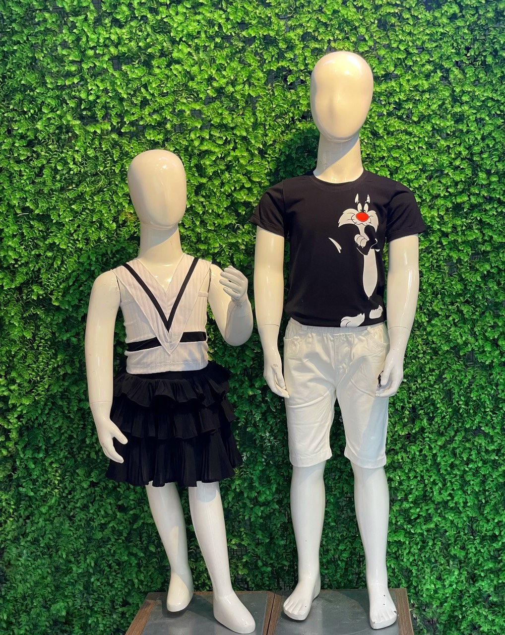 z3744653603320_fb909c56291224c4ba95d7852b120ca7