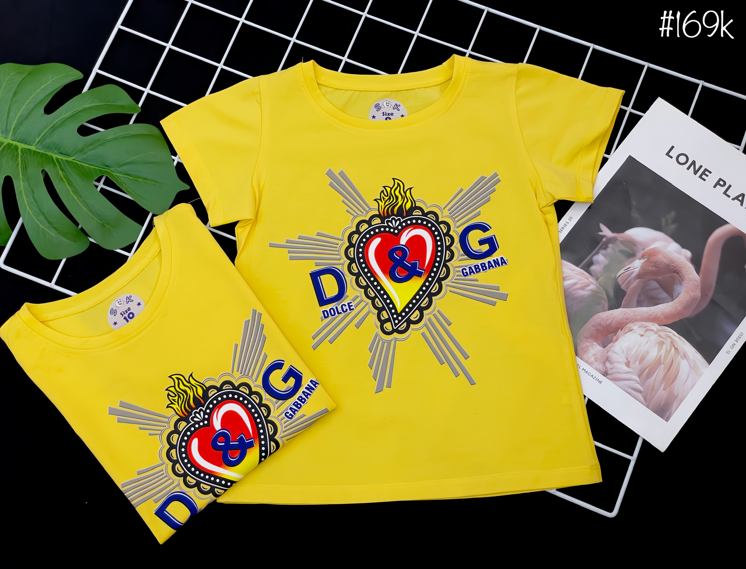 z4226144656576_ce1000d423cd7455a97f270333a3dc7f