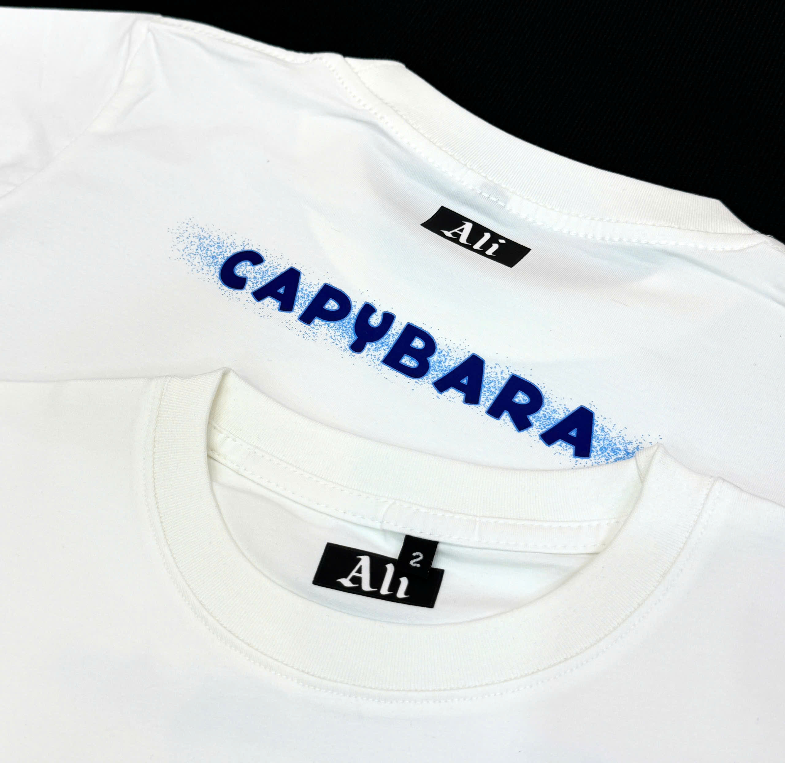 z5939701332218_735c6e35a8c0c5f69d54426b3d327635