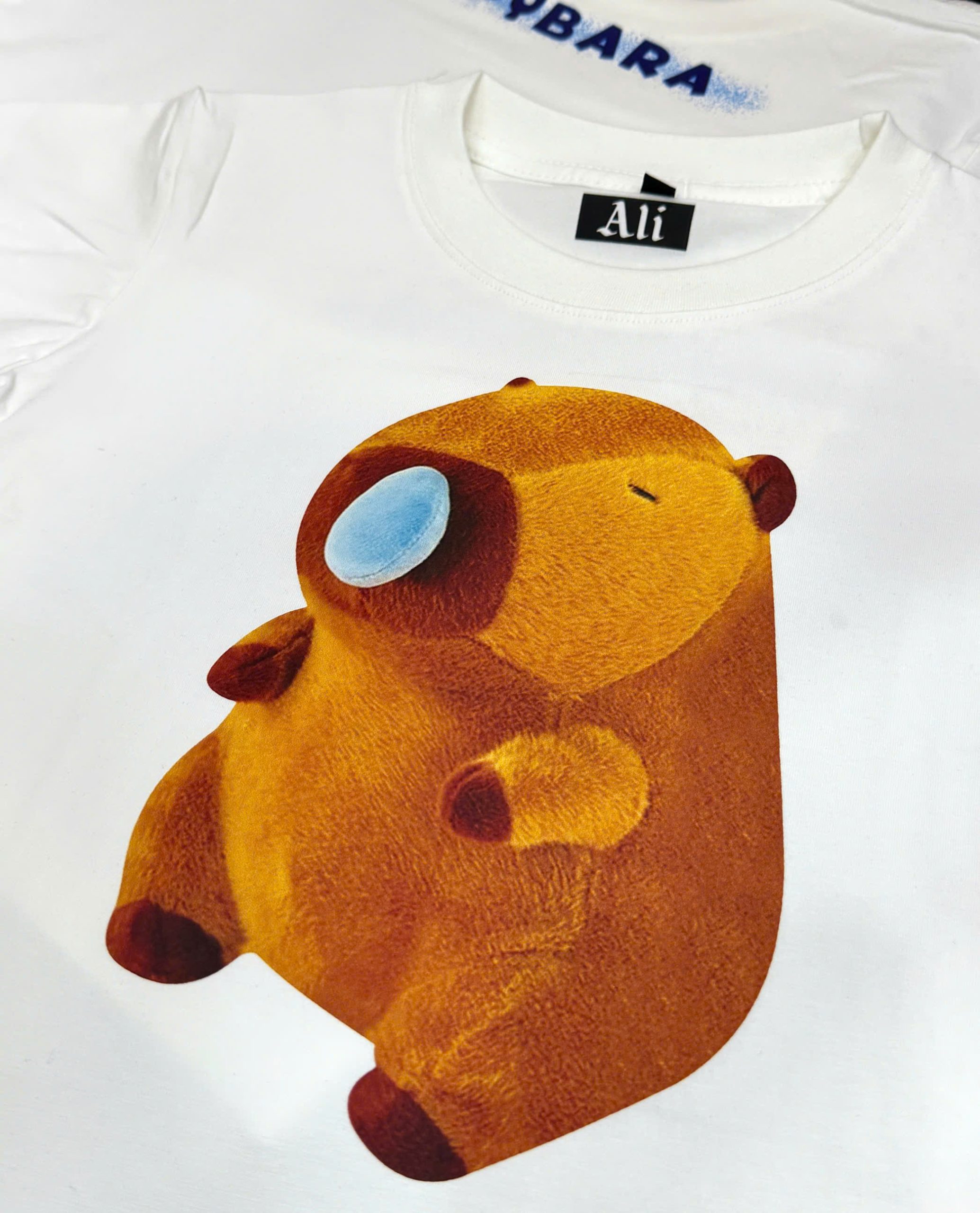 z5939701334969_a7910017cfd18e039c87be5dbce45c53